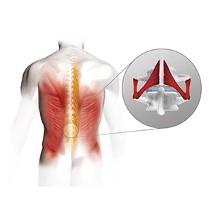bioswing Tiefenmuskulatur